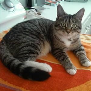 Meet your Posher, Louise